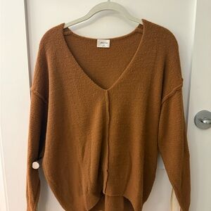 Wilfred Brown V-Neck Sweater